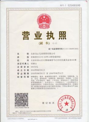 500000-1000000 Shots chuyên nghiệp thiết kế nguyên mẫu tùy chỉnh khuôn nhựa bơm phun sản xuất khuôn nhựa cho máy chạy lạnh