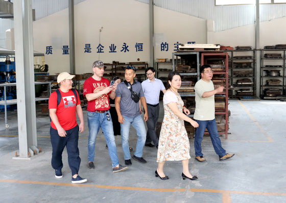 Màu sắc tùy chỉnh khuôn tiêm nhựa cho máy móc nhà máy sản xuất đồ chơi nhựa